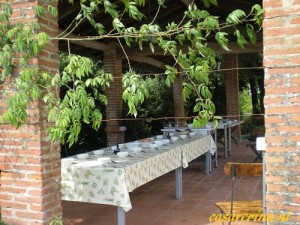 Bernardini 19